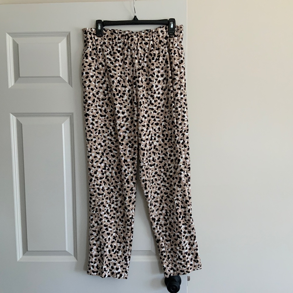 Ann Taylor Pants